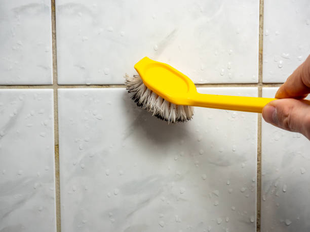 Best White Mold Remediation in Newport Beach, CA